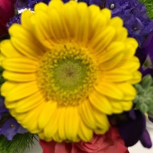 Meet your Posher, Ana